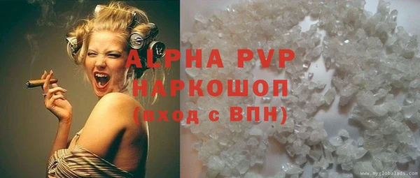 spice Богородицк
