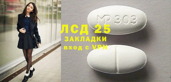 spice Богородицк