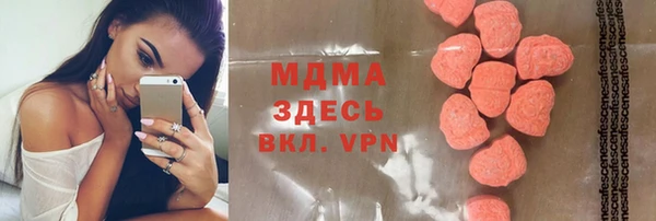 spice Богородицк