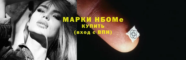 spice Богородицк