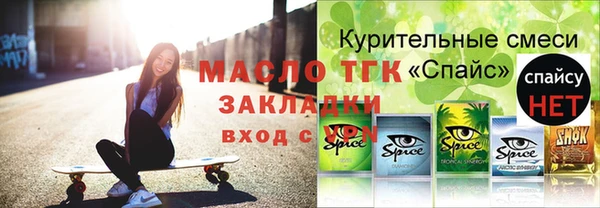 spice Богородицк