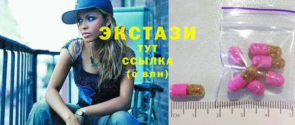 spice Богородицк