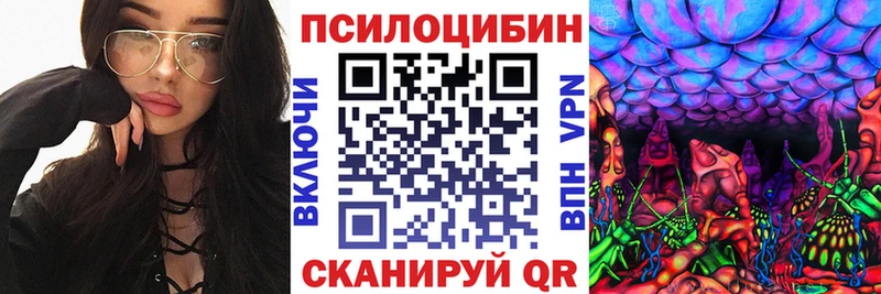наркошоп  Павловск  Псилоцибиновые грибы Magic Shrooms 