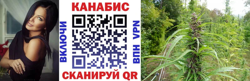 Бошки марихуана Ganja  хочу наркоту  OMG зеркало  Павловск 